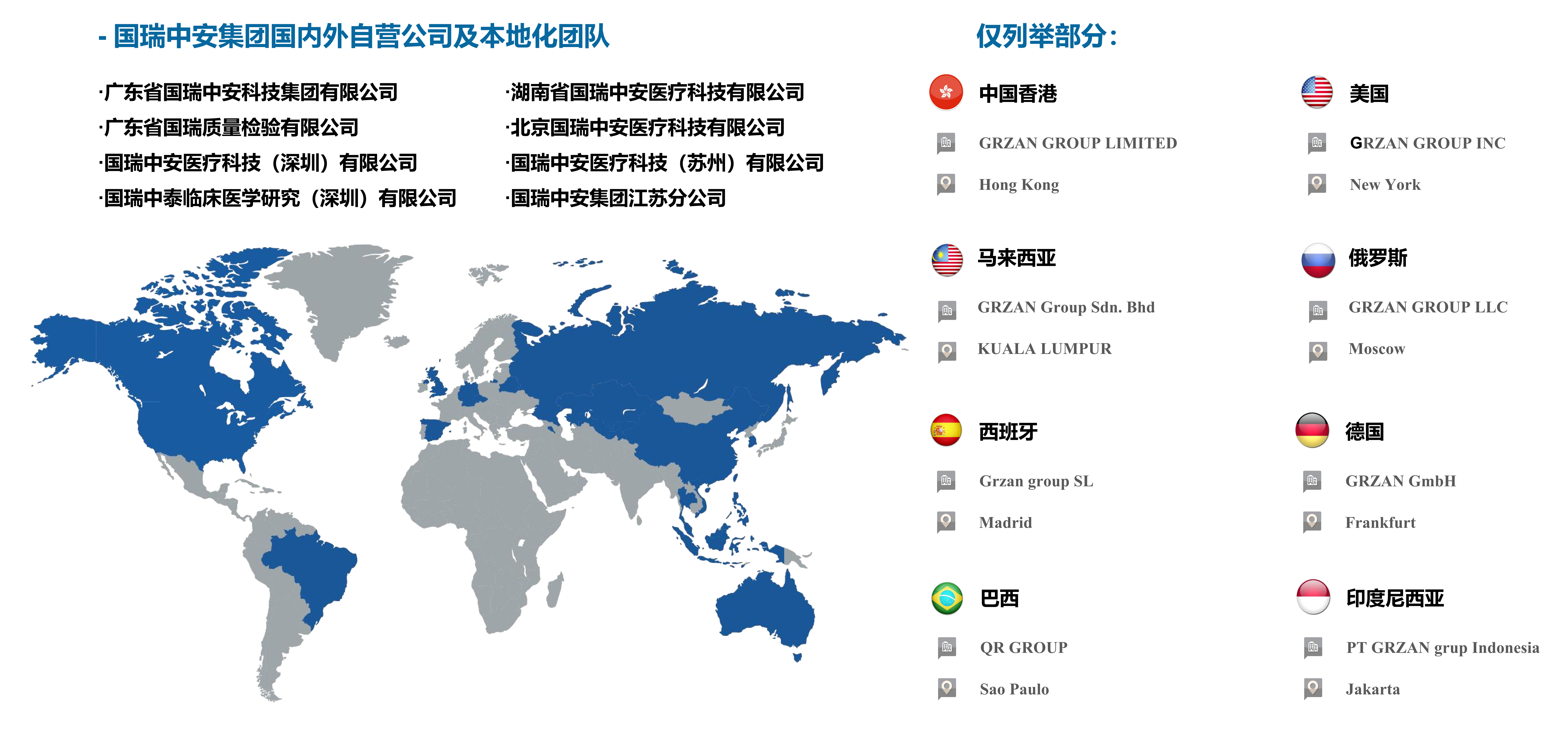 国瑞中安集团国内外本地化团队.png